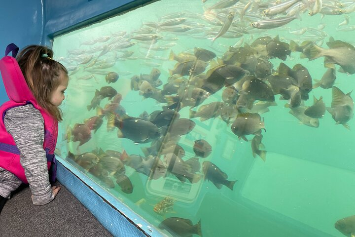 Glass Bottom Boat Ride in Redondo Beach - Photo 1 of 7